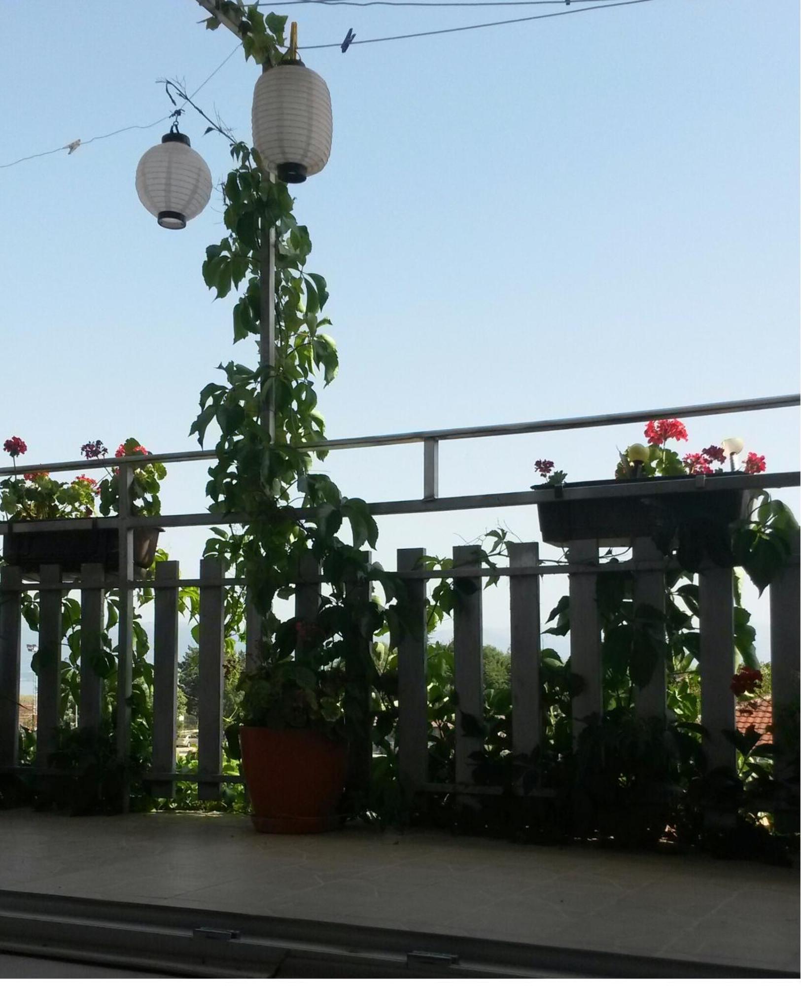 Marko Apartments Struga Kamer foto