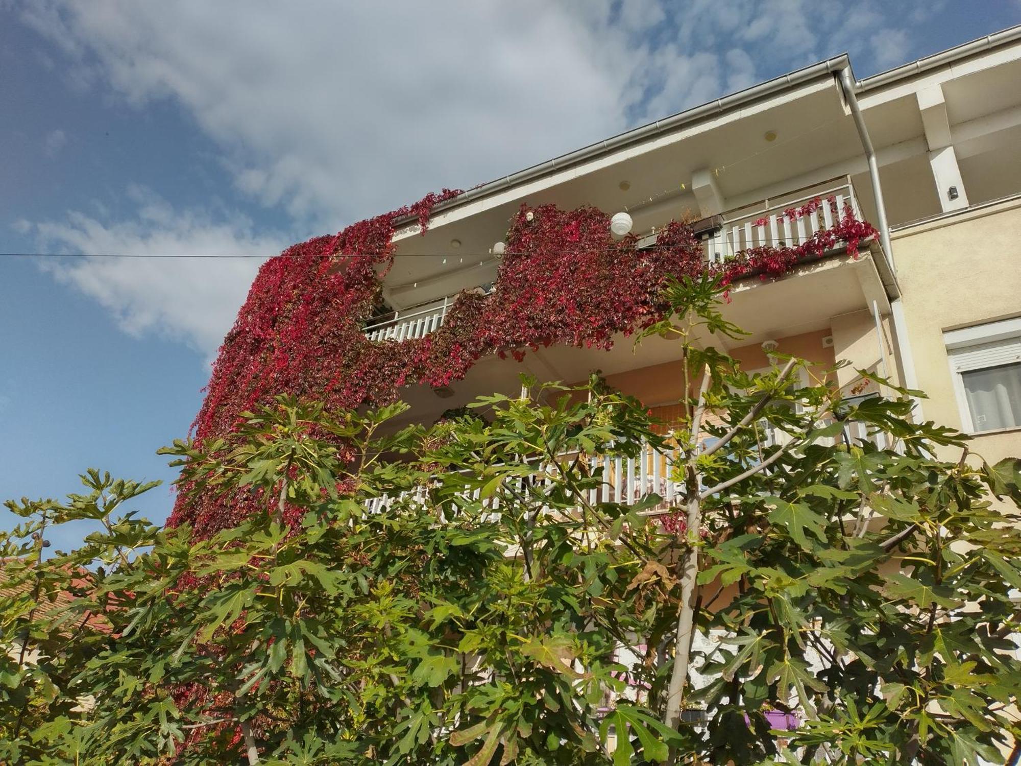 Marko Apartments Struga Buitenkant foto